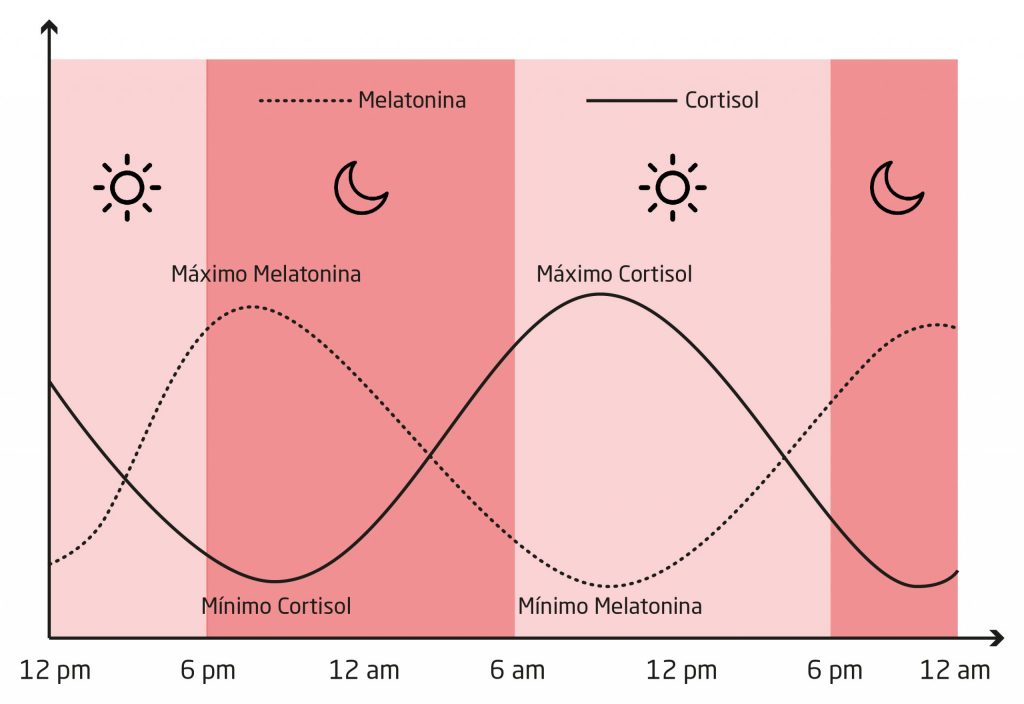 Lo Esencial Es Visible A Los Ojos Ciclo Circadiano Disrupciones Y Lo Esencial Es Visible A Los Ojos Ciclo Circadiano Disrupciones Y