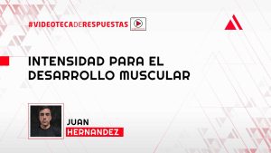 Intensidad para el Desarrollo Muscular