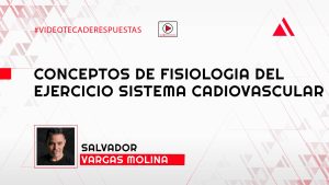 Conceptos de fisiologia del ejercicio sistema cadiovascular